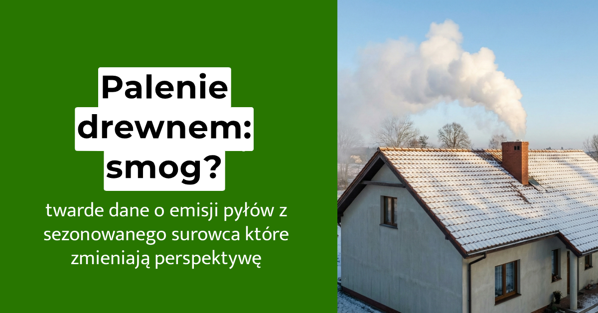 Palenie drewnem, a smog – twarde dane o emisji pyłów z sezonowanego surowca, które zmieniają perspektywę
