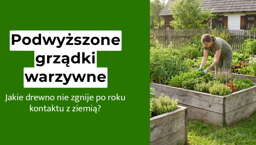 Jak zbudować podwyższone grządki warzywne z drewna na lata?